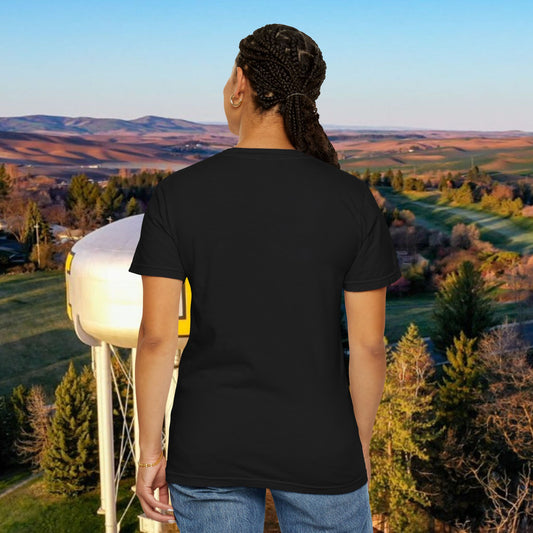 Idaho 208 Unisex Garment-Dyed T-shirt, State Pride Tee, Casual Wear, Gift for Idahoans, Summer Vibes, Gameday Shirt