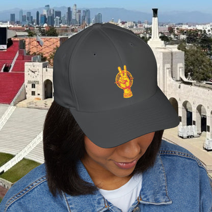 Victory Inspired Embroidered Cap, Stylish Hat, Trendy Accessories, Gift for Him or Her, Casual Headwear, Unique Cap for Gameday