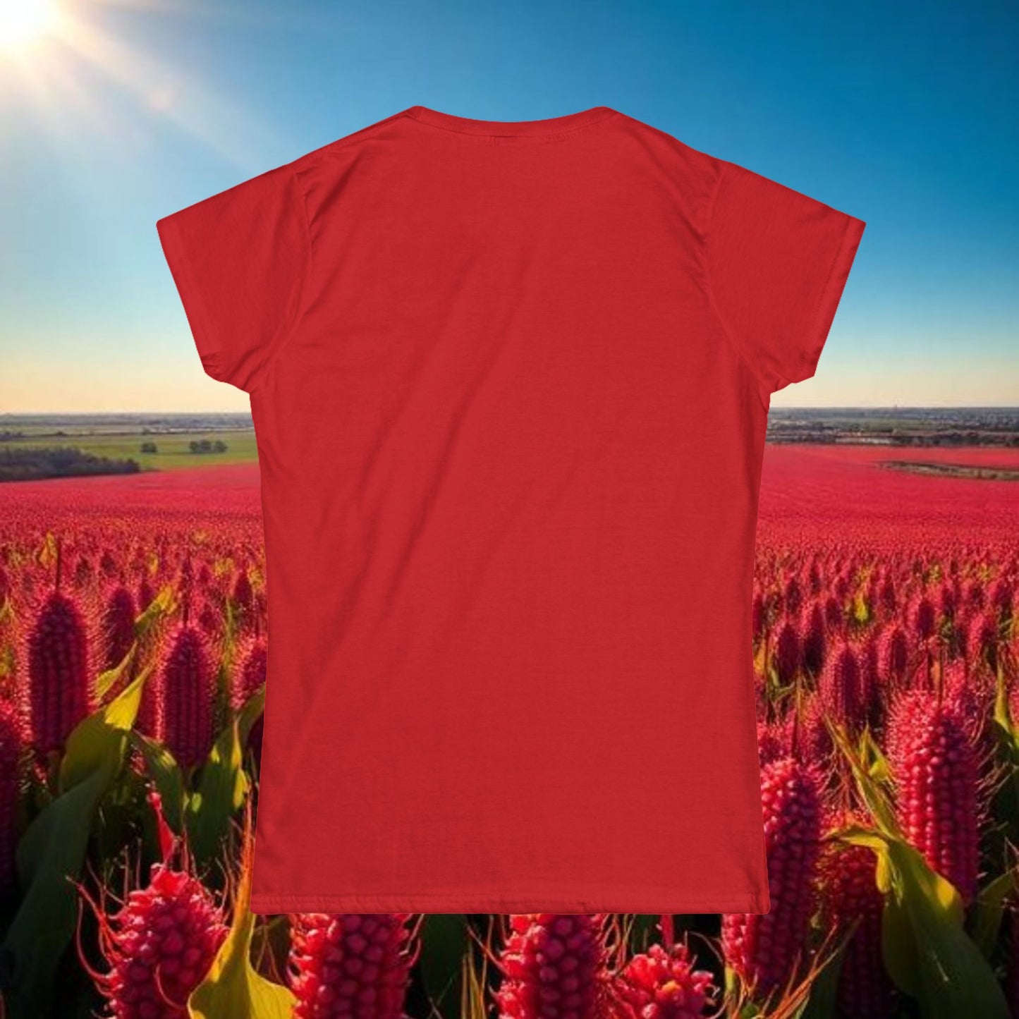 Lincoln Vintage Volleyball Women's Tee, Soft-Style T-Shirt perfect for Gameday