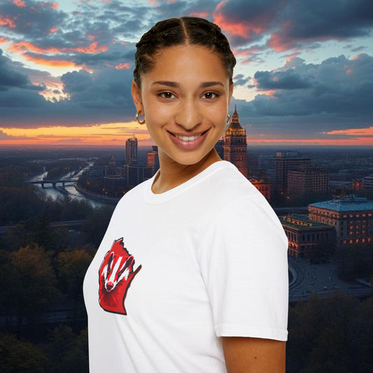 Wisconsin Softstyle T-Shirt, Unisex Tee, College Apparel, Game Day Shirt, Casual Wear, Gift for Fans