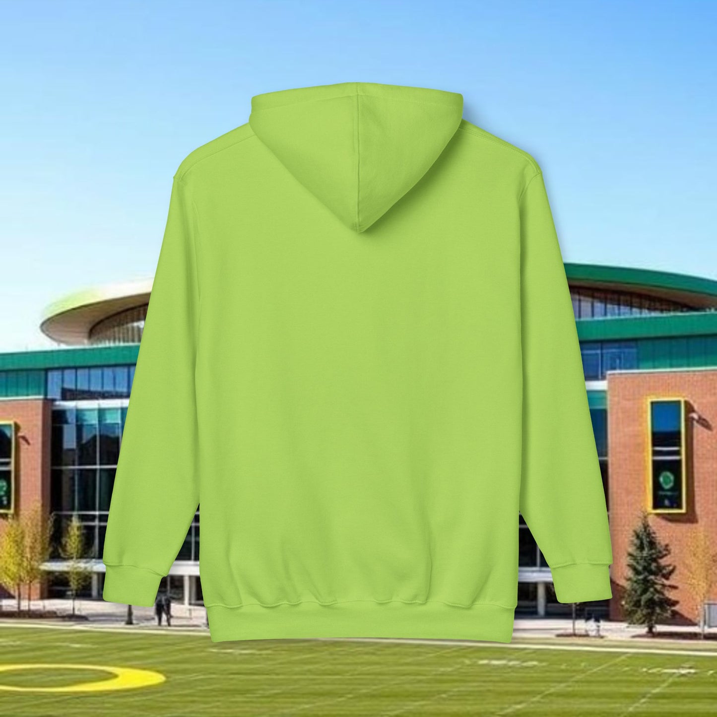 Graphic Hoodie, Unisex Sweatshirt for Gamers, Sports Fans, Birthday Gift, Colorful Apparel, Sports fans