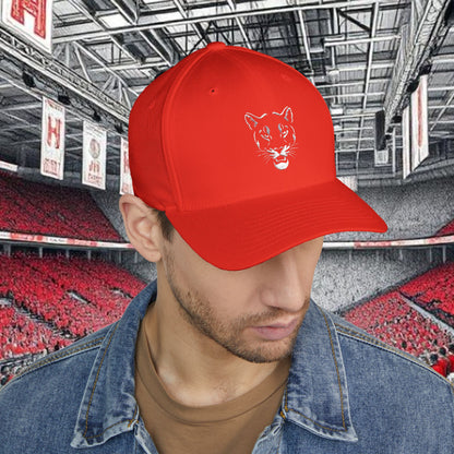 Cougar Embroidered Cap - Perfect for Outdoor Adventures, Gifts, Casual Wear, Festivals, and Sports and Houston Gameday