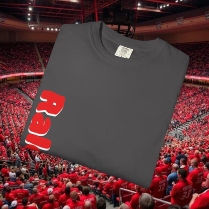 Raleigh Graphic Unisex Garment-Dyed T-shirt, Sports Fan Tee, College Apparel, Gift for Him/Her, Casual Wear, Spirit Wear