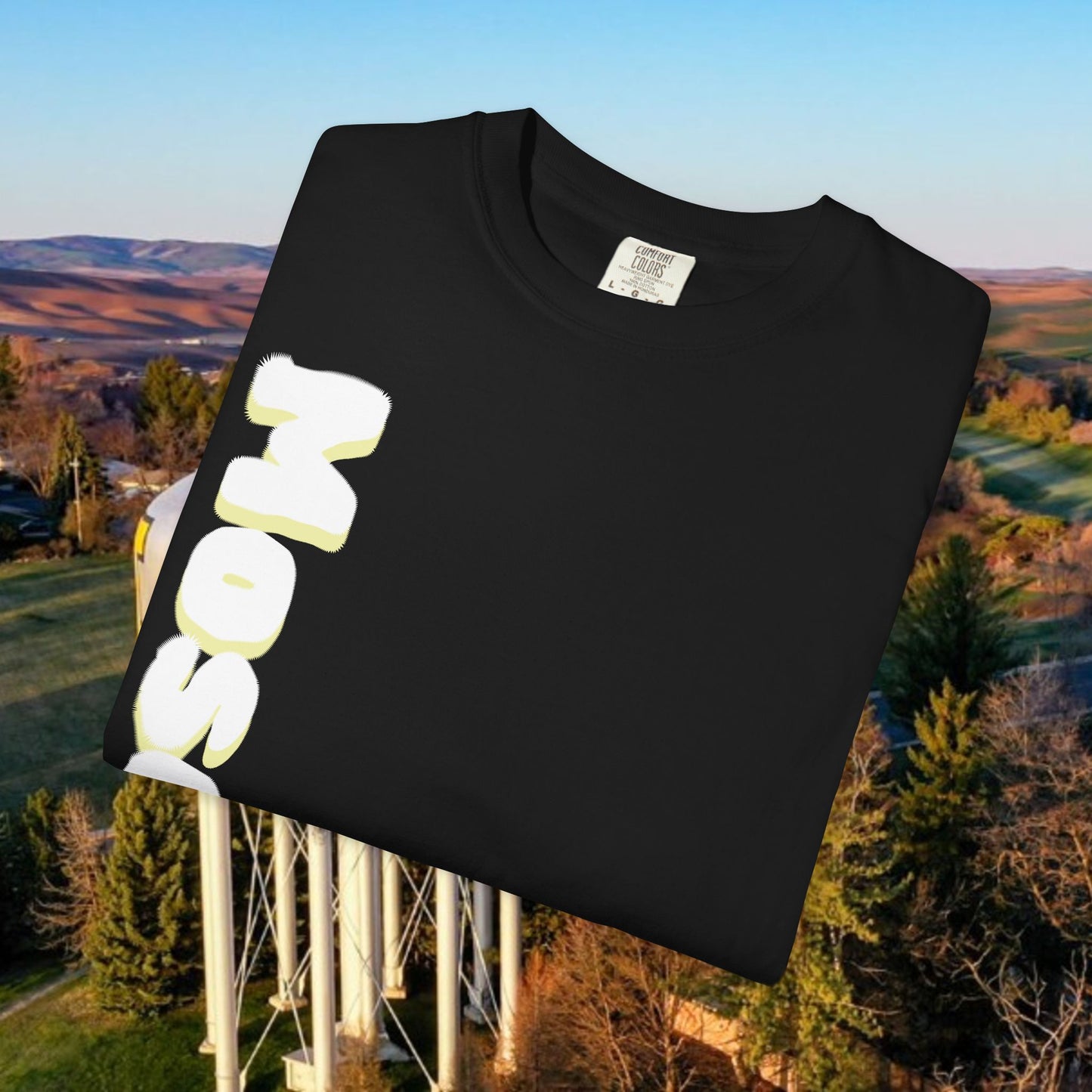 Moscow Idaho Graphic Tee, Unisex T-shirt, Gift for Travelers, Home State Apparel, Casual Wear, Summer Style