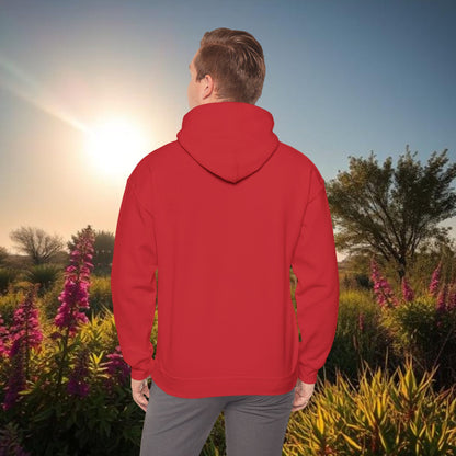 Hoodie — Retro Graphic Pullover, Perfect for Football Games or Hanging with friends. Stylish and soft style hoodie.