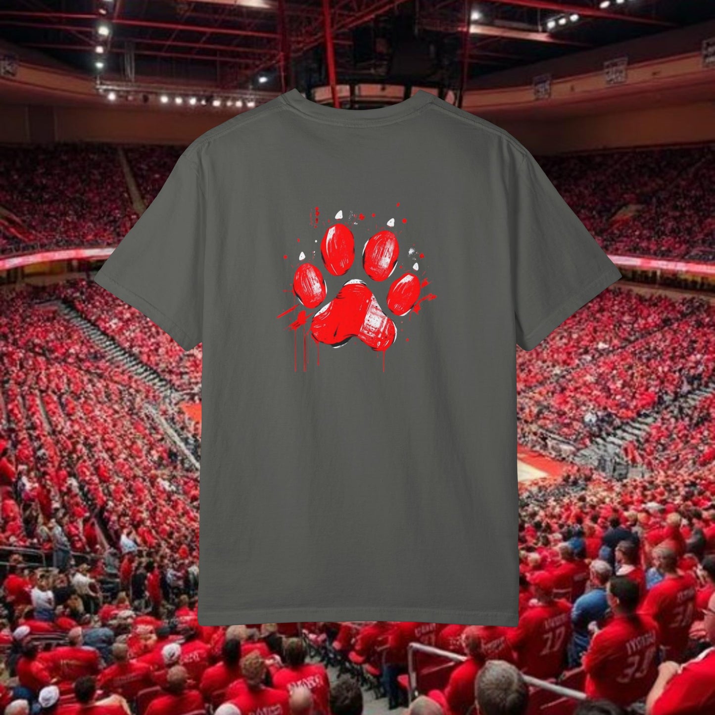 Raleigh Graphic Unisex Garment-Dyed T-shirt, Sports Fan Tee, College Apparel, Gift for Him/Her, Casual Wear, Spirit Wear