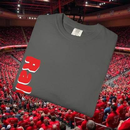 Raleigh Graphic Unisex Garment-Dyed T-shirt, Sports Fan Tee, College Apparel, Gift for Him/Her, Casual Wear, Spirit Wear