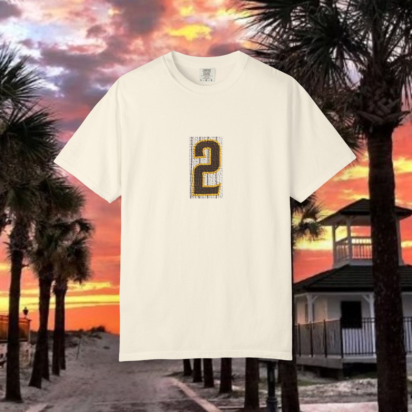 Number 2 Graphic T-Shirt — Bold Retro Patch Front & X Back Tee