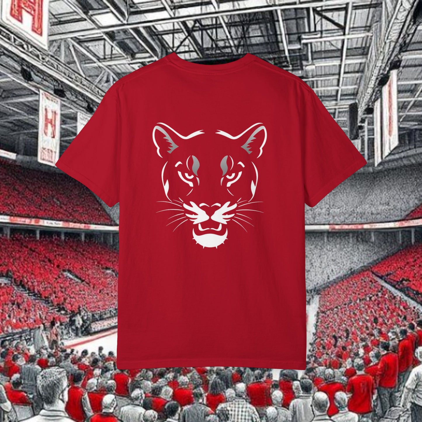 Houston Unisex Garment-Dyed T-Shirt, Stadium Shirt, College Spirit Wear, Casual Tee, Game Day Apparel, Fan Gear