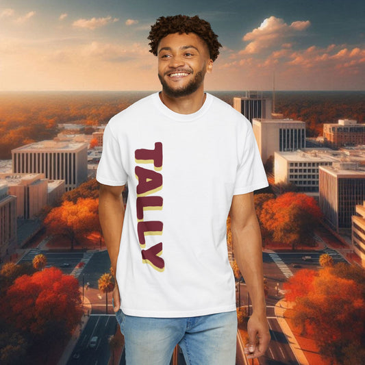 Tally T-Shirt, Tallahassee Tee, Game Day Shirt, Tribal Pattern Tee, Unisex Fashion Top