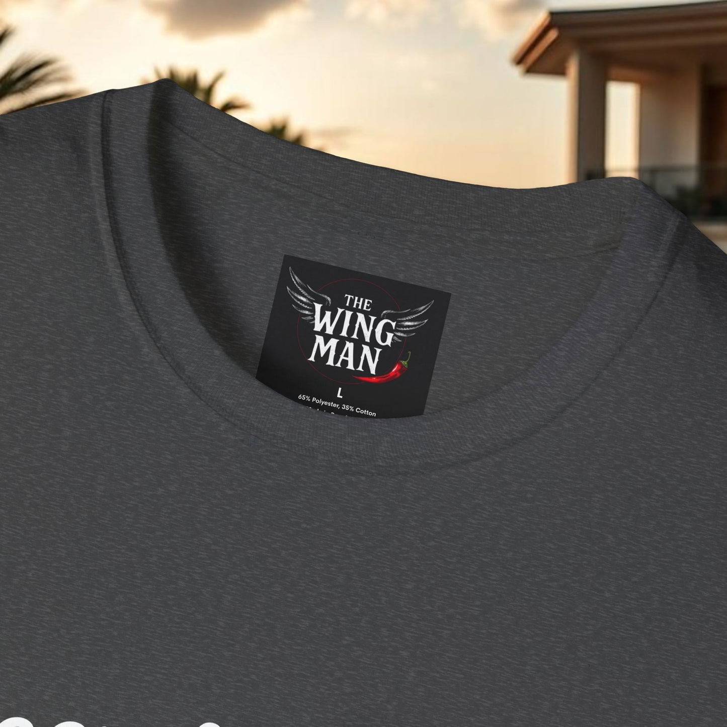 Beer & Wings Unisex Softstyle T-Shirt, Casual Gift for BBQ Lovers, Fun Drink Shirt, Summer Party Apparel, Unique Gift for Foodies