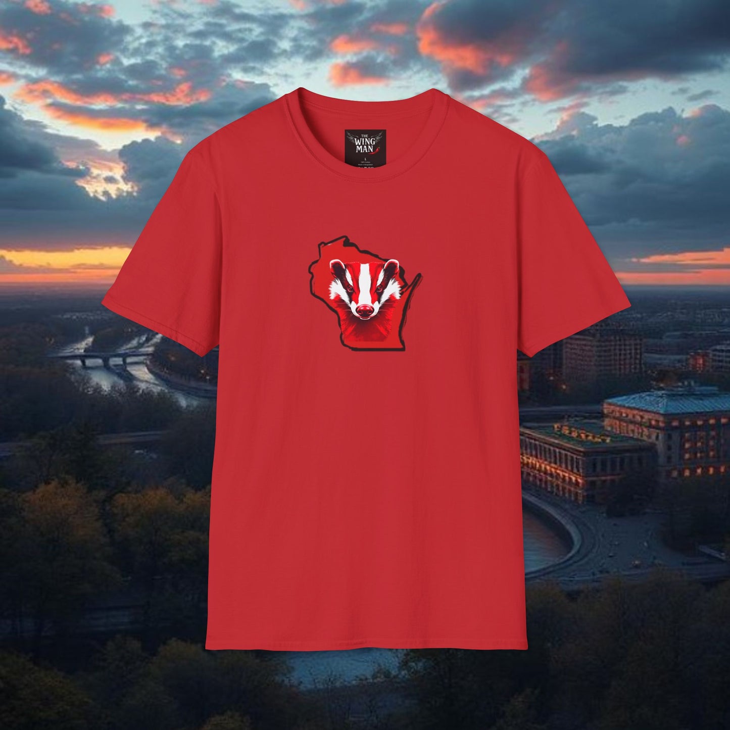 Wisconsin Softstyle T-Shirt, Unisex Tee, College Apparel, Game Day Shirt, Casual Wear, Gift for Fans