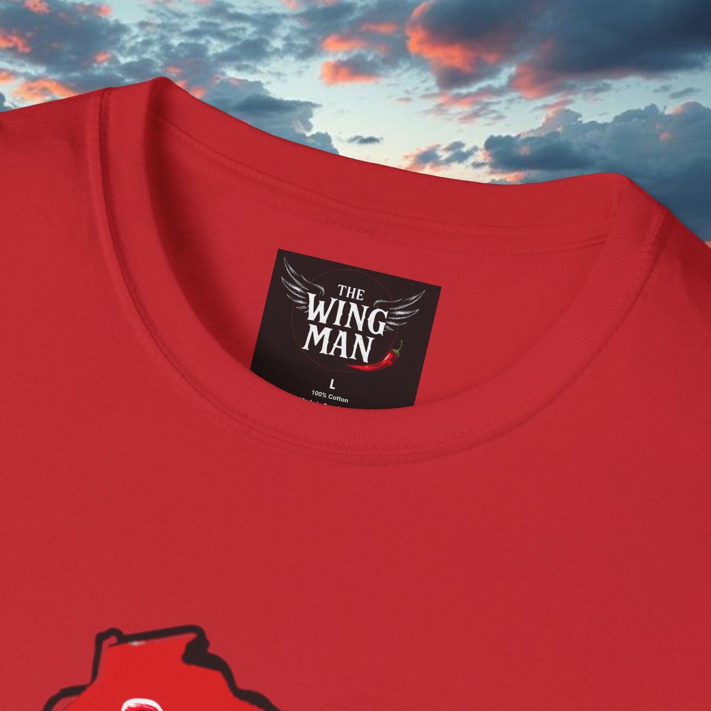 Wisconsin Softstyle T-Shirt, Unisex Tee, College Apparel, Game Day Shirt, Casual Wear, Gift for Fans