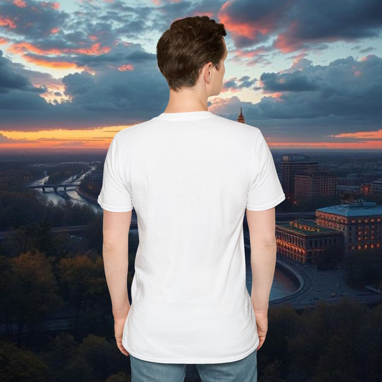 Wisconsin Softstyle T-Shirt, Unisex Tee, College Apparel, Game Day Shirt, Casual Wear, Gift for Fans