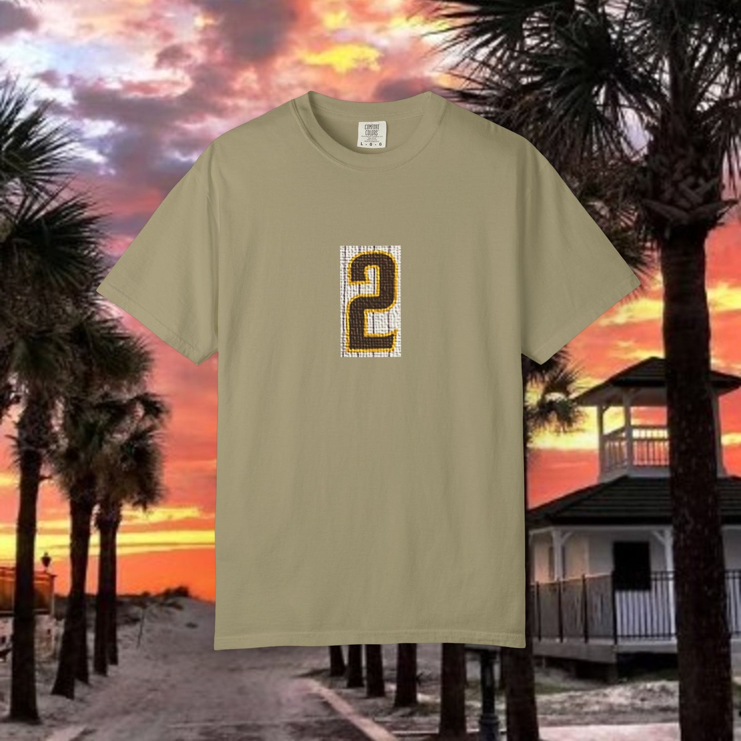Number 2 Graphic T-Shirt — Bold Retro Patch Front & X Back Tee