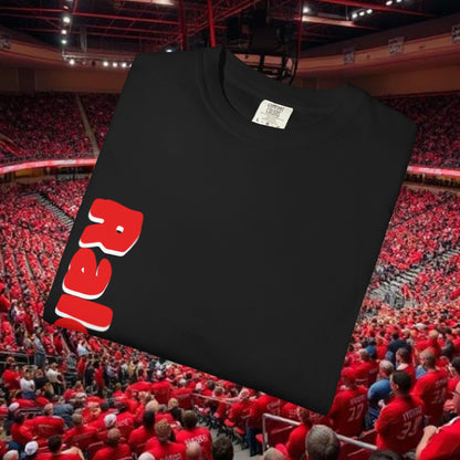 Raleigh Graphic Unisex Garment-Dyed T-shirt, Sports Fan Tee, College Apparel, Gift for Him/Her, Casual Wear, Spirit Wear
