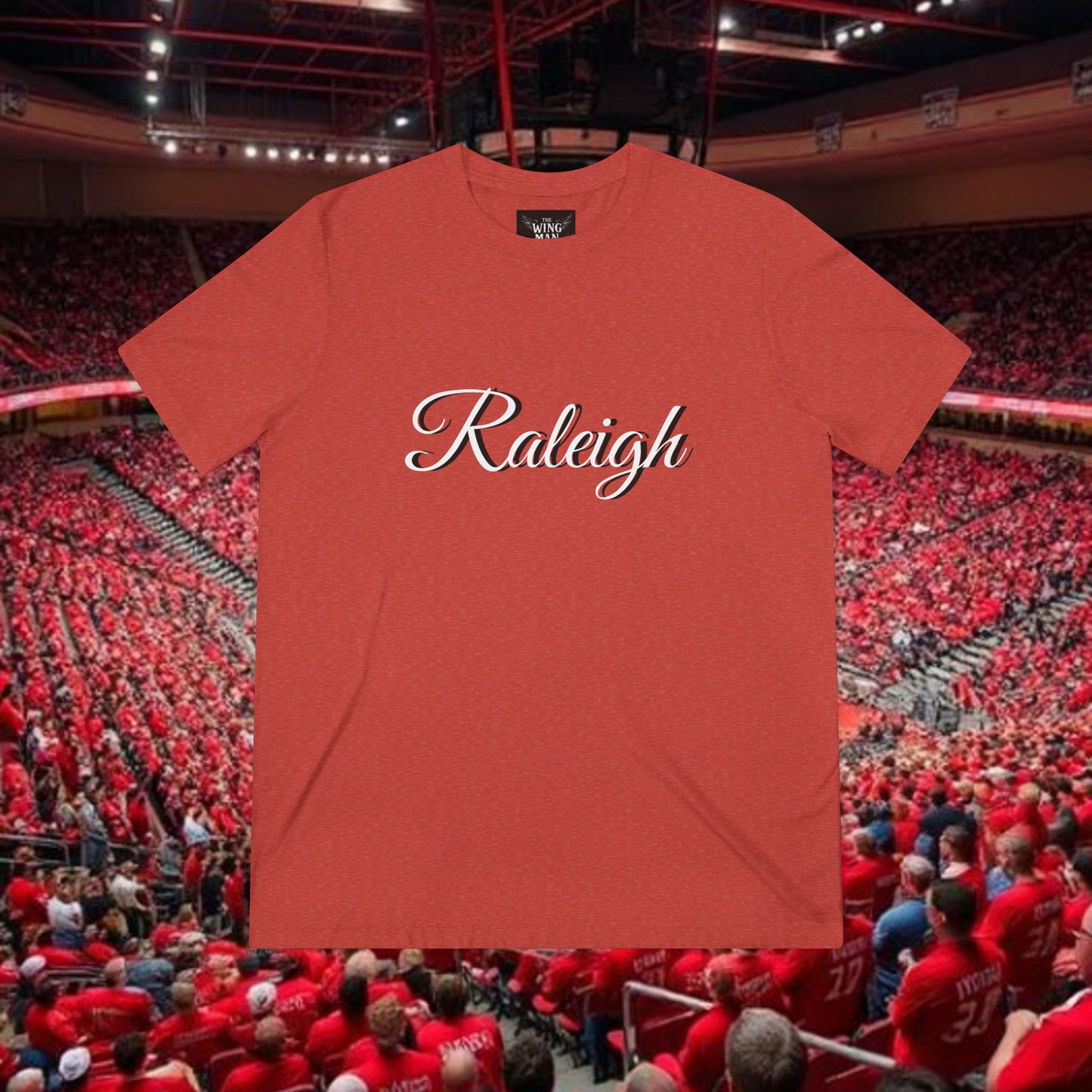 Raleigh Unisex Triblend Tee, Casual Wear, Gift for Travelers, Summer Apparel, Vintage Style T-Shirt, Everyday Comfort