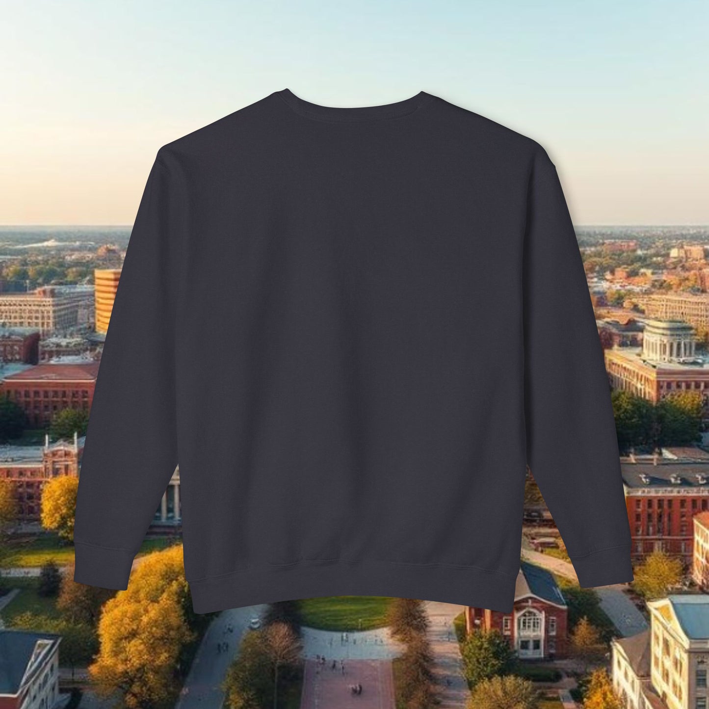 Tiger Head Missouri Crewneck Sweatshirt — State Pride Graphic Pullover