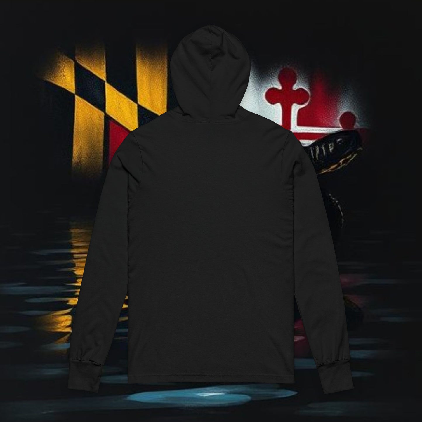 Unisex Hooded Long Sleeve Tee with Colorful Turtle Design, Comfortable Hoodie, Casual Wear, Gift for Sports Fans, Seasonal Wardrobe Staple