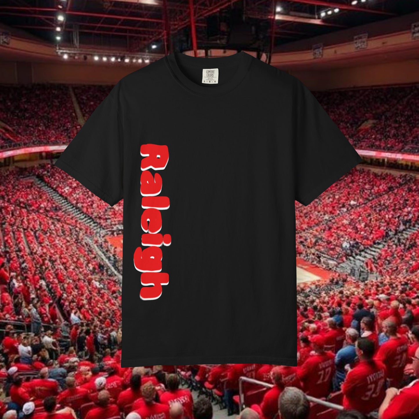 Raleigh Graphic Unisex Garment-Dyed T-shirt, Sports Fan Tee, College Apparel, Gift for Him/Her, Casual Wear, Spirit Wear