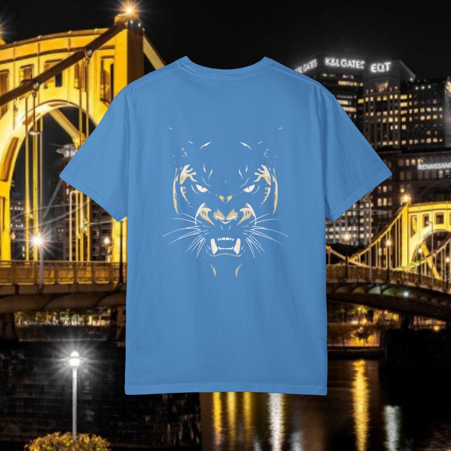 Pittsburgh Graphic T-Shirt, Unisex Shirt, Casual Wear, Sports Apparel, Gift for Sports Fans, Birthday Gift, Streetwear