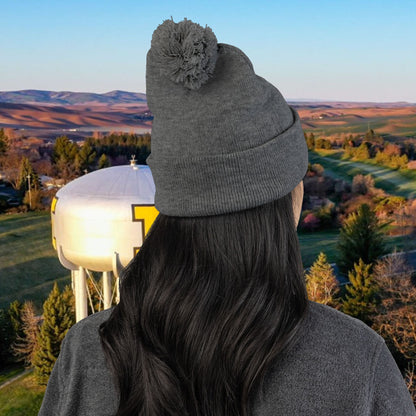 Idaho Pom-Pom Knit Cap (Embroidery), Winter Beanie Hat, Team Spirit Apparel, College Football Fan Gift, Accessories