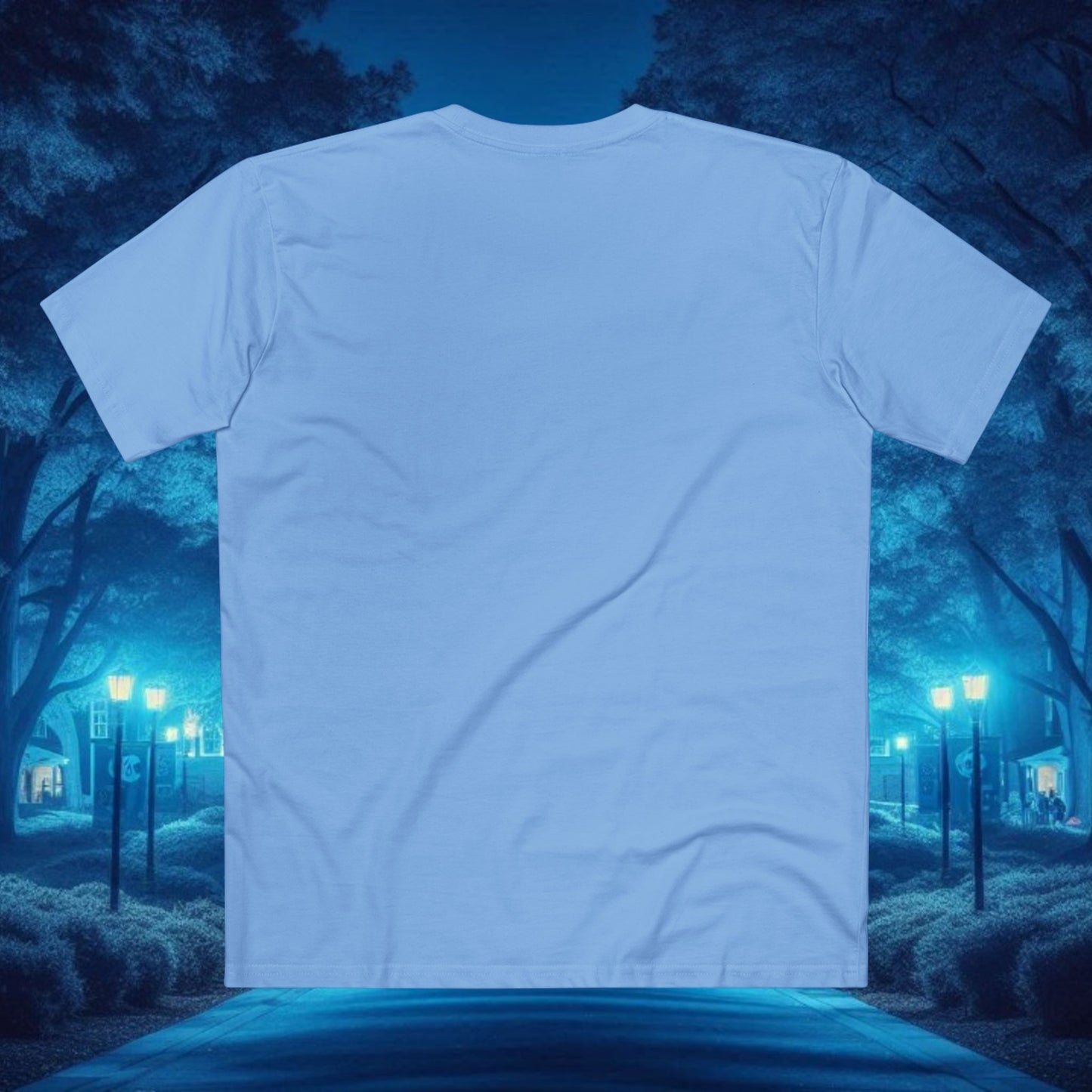 Chapel Hill Adult Tee, Unisex Casual Shirt, Everyday Wear, Sports Fan Shirt, Gift for College Student