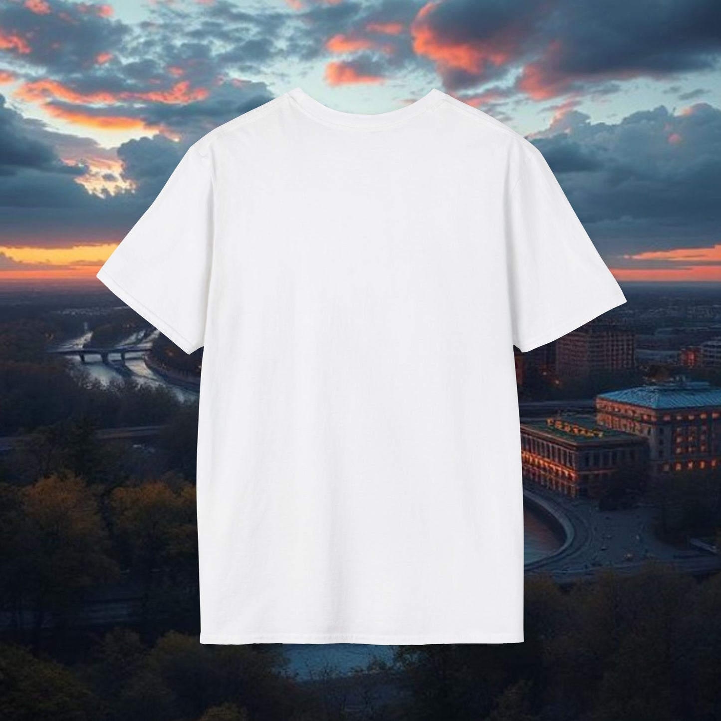 Wisconsin Softstyle T-Shirt, Unisex Tee, College Apparel, Game Day Shirt, Casual Wear, Gift for Fans