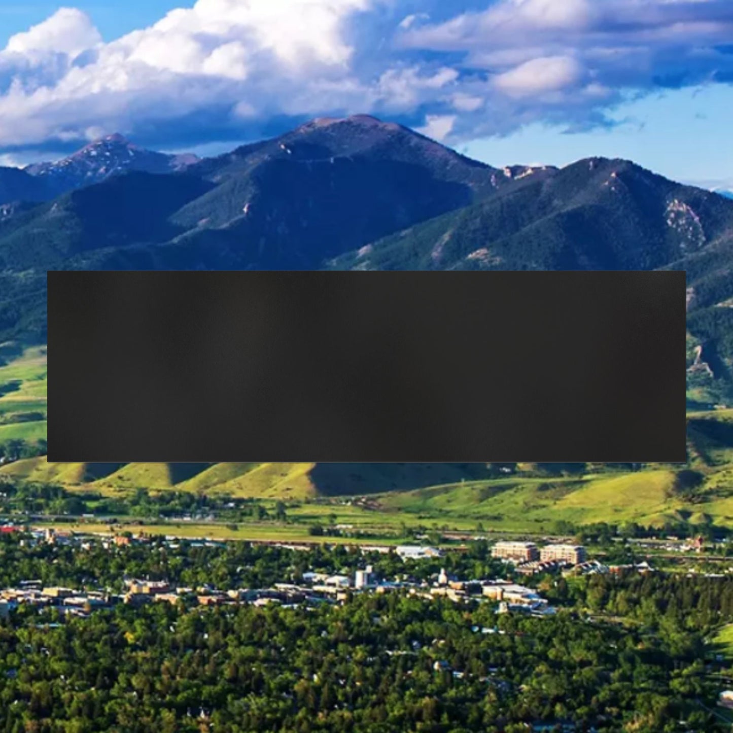 Bobcat Born Car Magnets, Auto Decor, Fun Feline Magnet, Pet Lover Gift, College Pride Sticker, Personalized Car Accessories