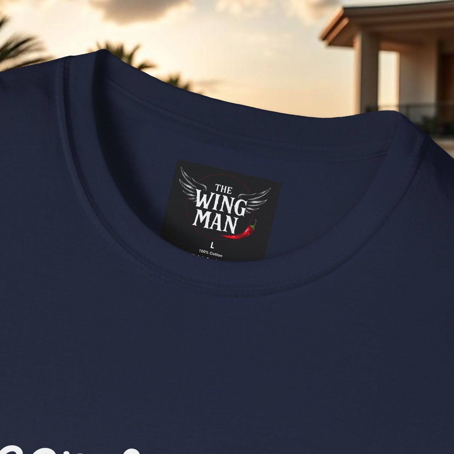 Beer & Wings Unisex Softstyle T-Shirt, Casual Gift for BBQ Lovers, Fun Drink Shirt, Summer Party Apparel, Unique Gift for Foodies