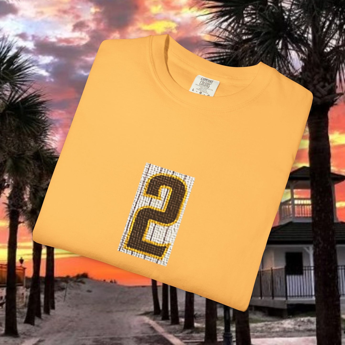 Number 2 Graphic T-Shirt — Bold Retro Patch Front & X Back Tee
