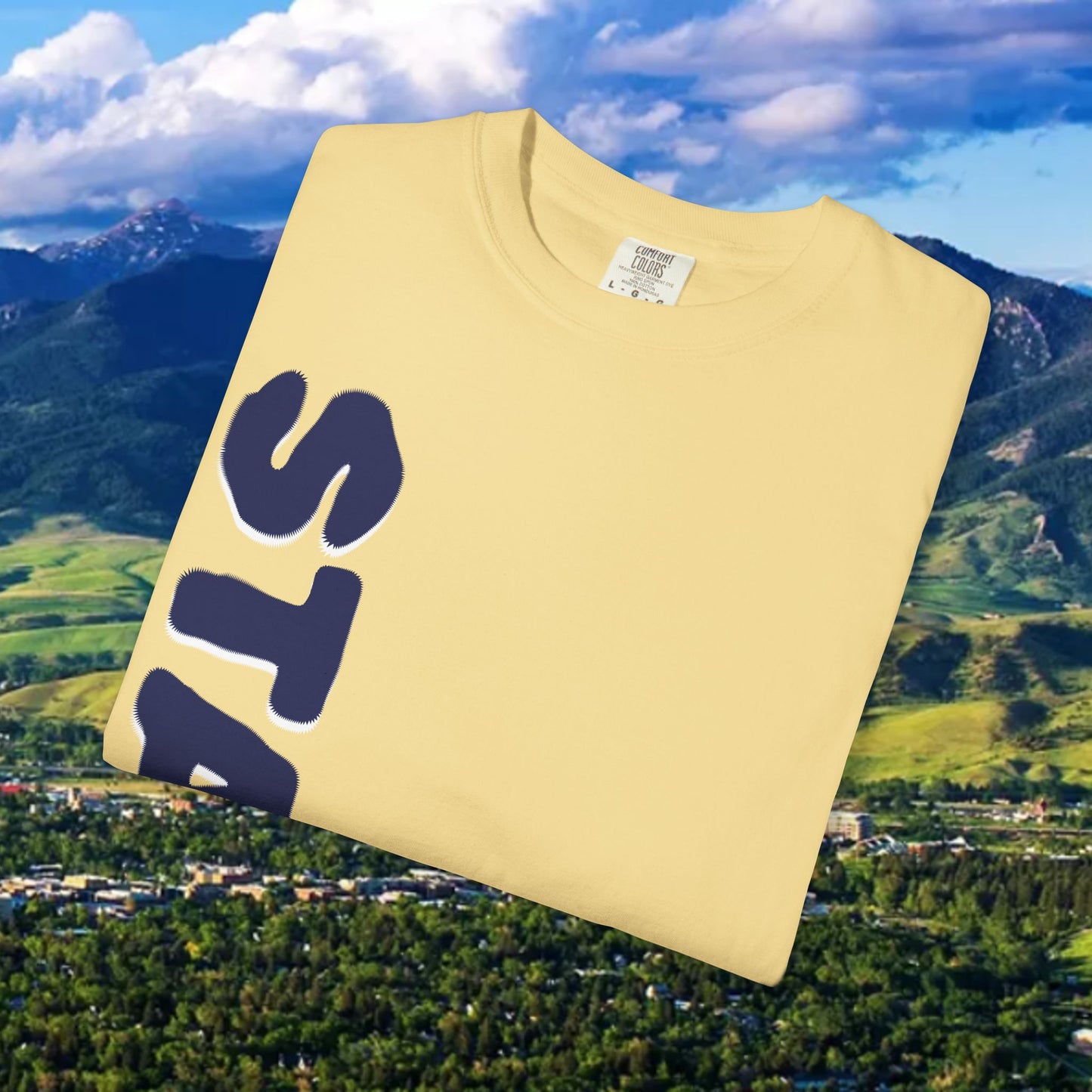 State Unisex Garment-Dyed T-shirt for Cat Fans and Gameday, Tailgate Shirt, Team Spirit Tee, College Football