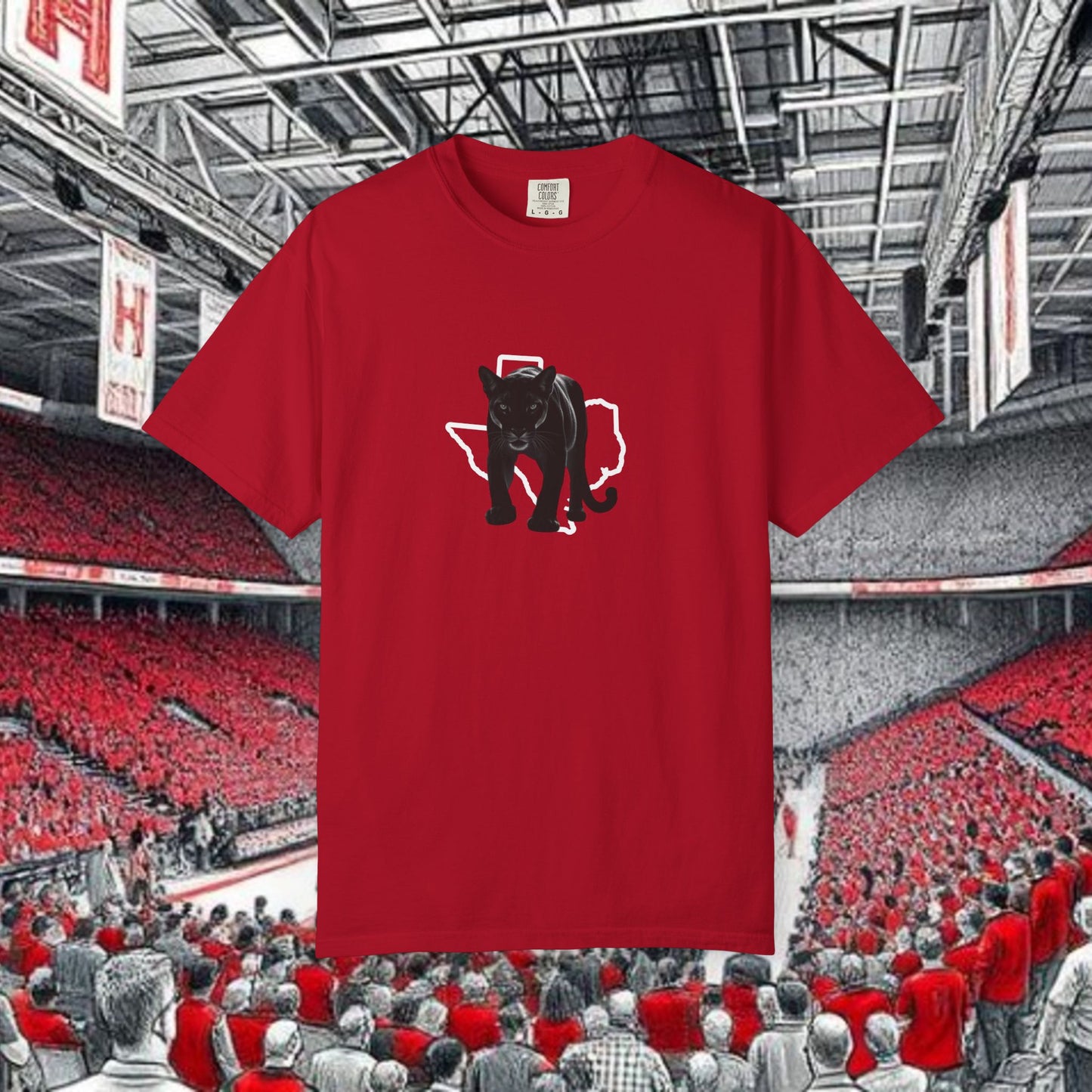 Stylish T-Shirt, Unisex Garment-Dyed Tee, Sportswear, Gift for Teens, College Apparel, Casual Style