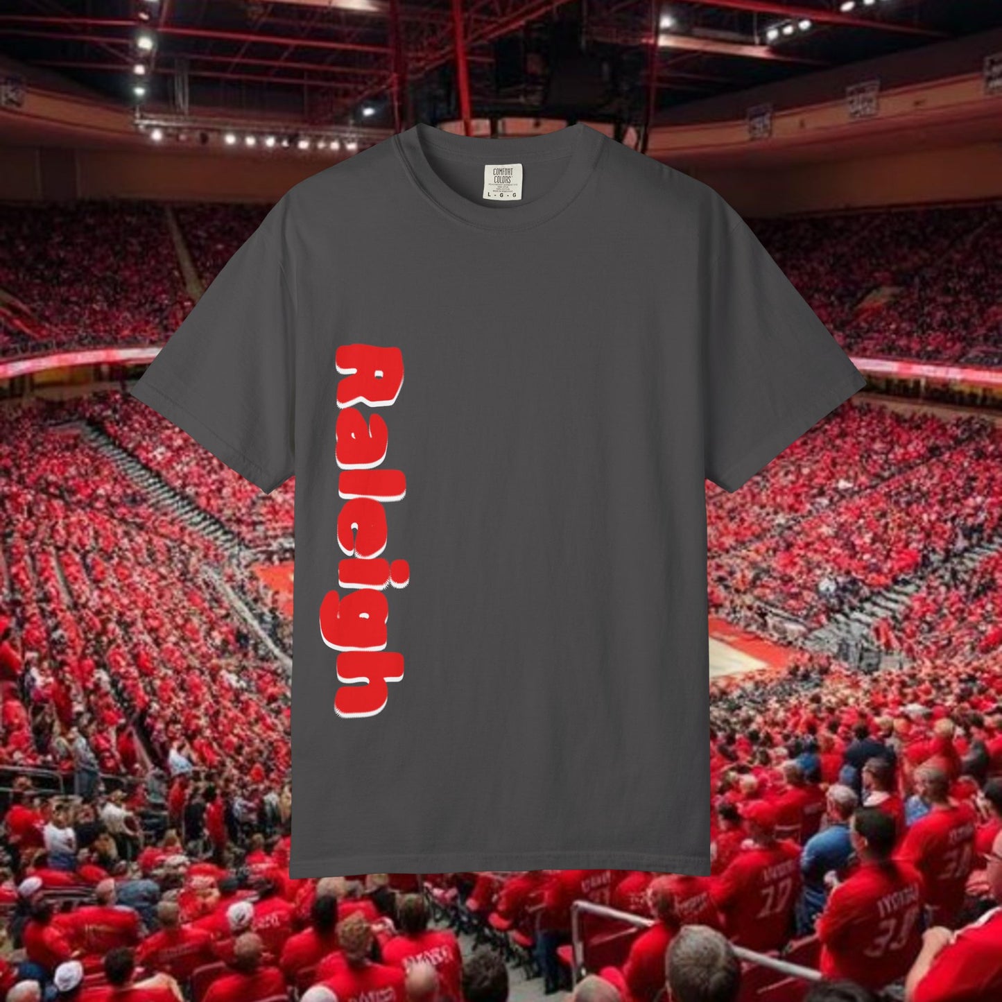 Raleigh Graphic Unisex Garment-Dyed T-shirt, Sports Fan Tee, College Apparel, Gift for Him/Her, Casual Wear, Spirit Wear