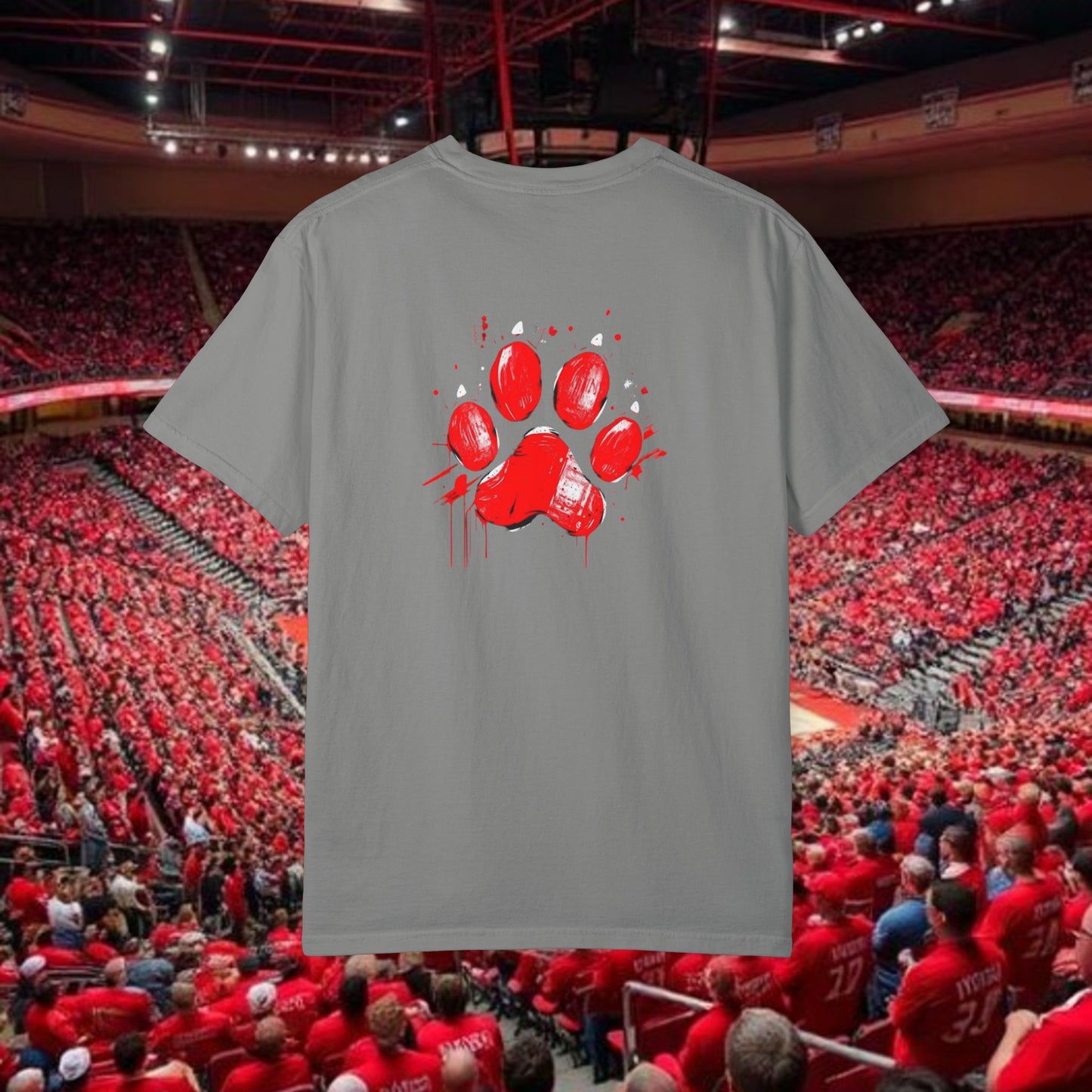 Raleigh Graphic Unisex Garment-Dyed T-shirt, Sports Fan Tee, College Apparel, Gift for Him/Her, Casual Wear, Spirit Wear