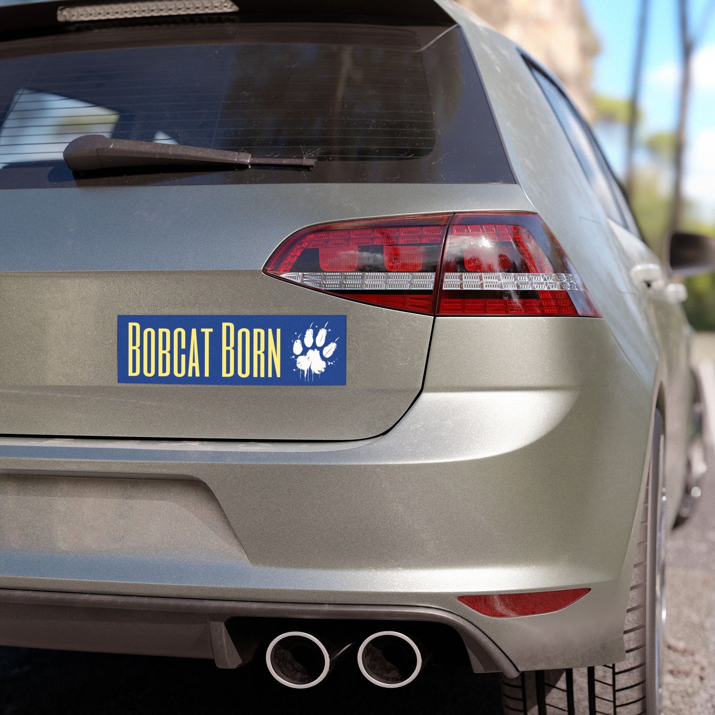 Bobcat Born Car Magnets, Auto Decor, Fun Feline Magnet, Pet Lover Gift, College Pride Sticker, Personalized Car Accessories