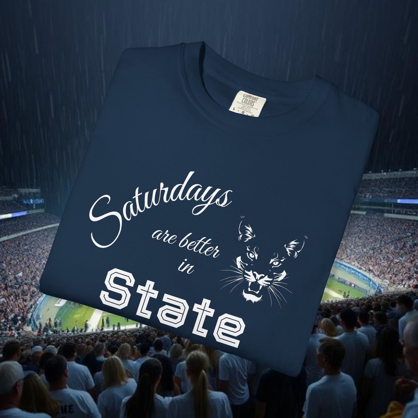 Stylish Unisex Garment-Dyed T-Shirt for Sports Fans, Casual Wear, Gift for Him/Her, Birthday Present, Relaxed Fit Tee