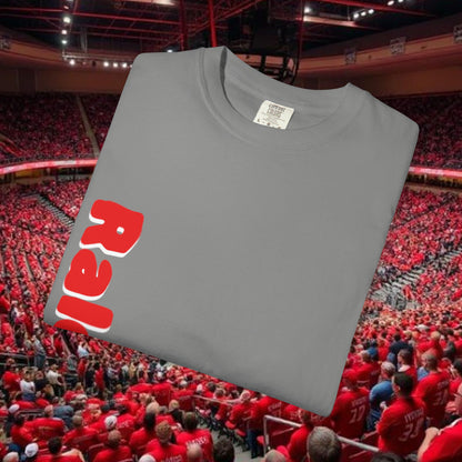 Raleigh Graphic Unisex Garment-Dyed T-shirt, Sports Fan Tee, College Apparel, Gift for Him/Her, Casual Wear, Spirit Wear