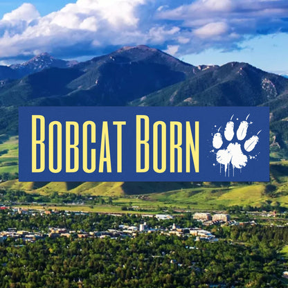 Bobcat Born Car Magnets, Auto Decor, Fun Feline Magnet, Pet Lover Gift, College Pride Sticker, Personalized Car Accessories