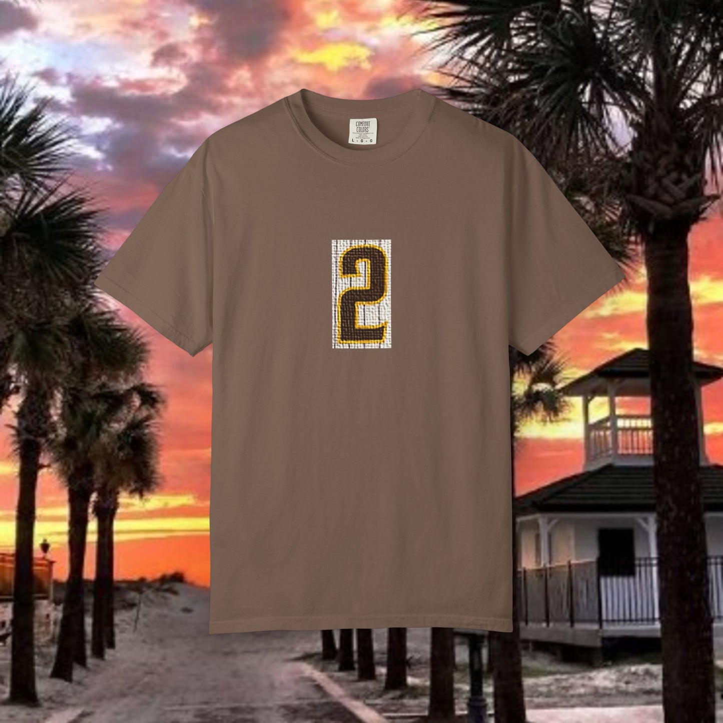 Number 2 Graphic T-Shirt — Bold Retro Patch Front & X Back Tee