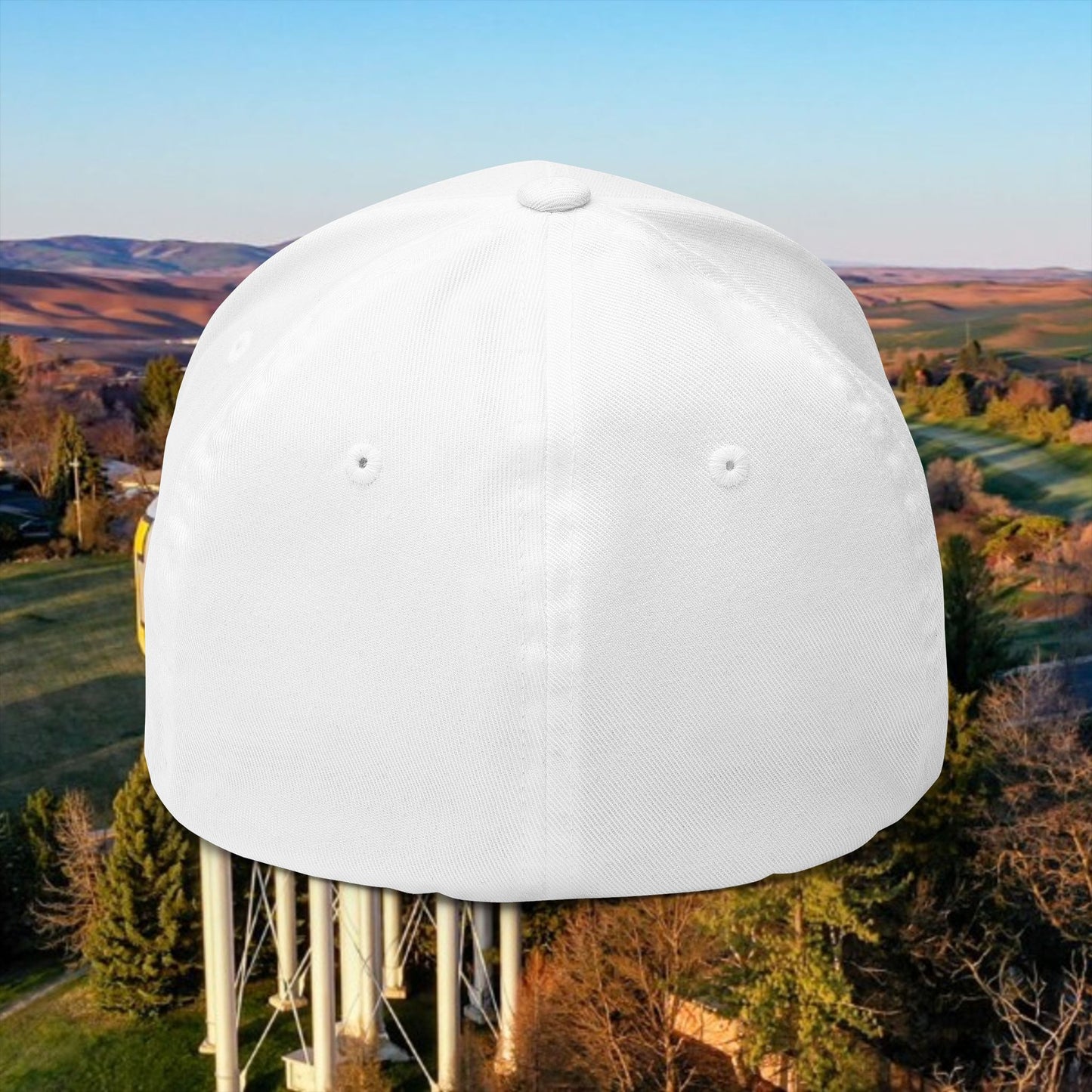 Idaho 208 Embroidered Cap, Closed-Back Structured Hat, Gift for Idahoans, Casual Wear, Summer Accessory