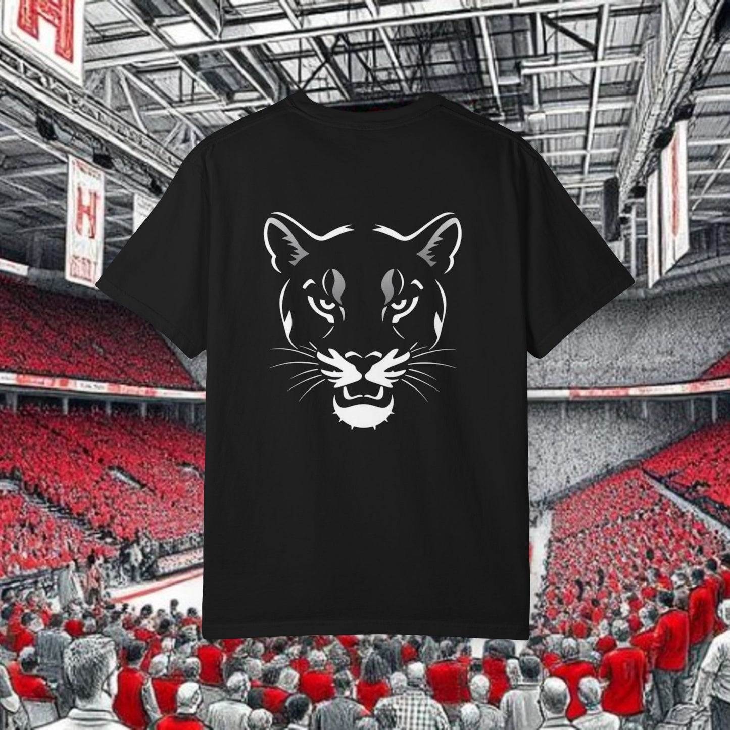 Houston Unisex Garment-Dyed T-Shirt, Stadium Shirt, College Spirit Wear, Casual Tee, Game Day Apparel, Fan Gear