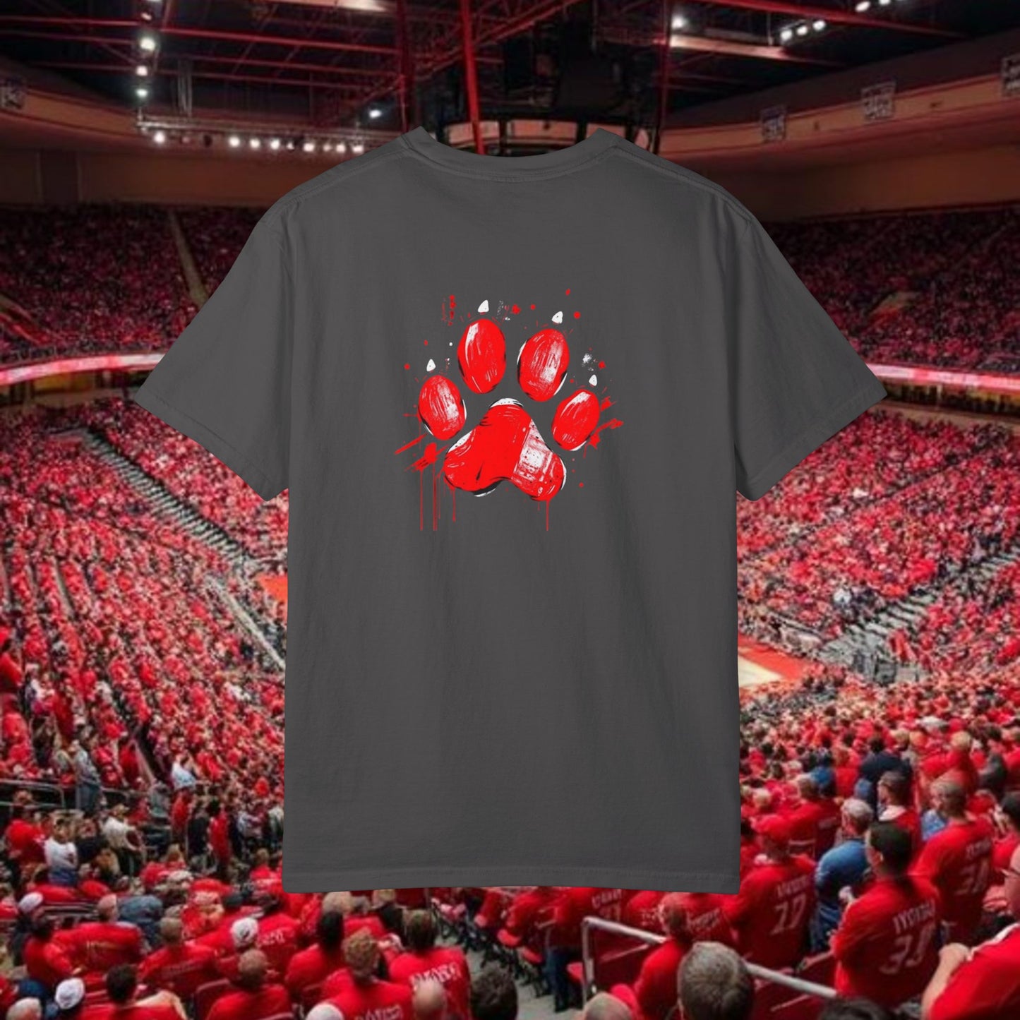 Raleigh Graphic Unisex Garment-Dyed T-shirt, Sports Fan Tee, College Apparel, Gift for Him/Her, Casual Wear, Spirit Wear