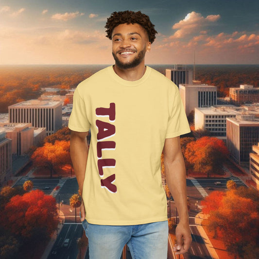 Tally T-Shirt, Tallahassee Tee, Game Day Shirt, Tribal Pattern Tee, Unisex Fashion Top