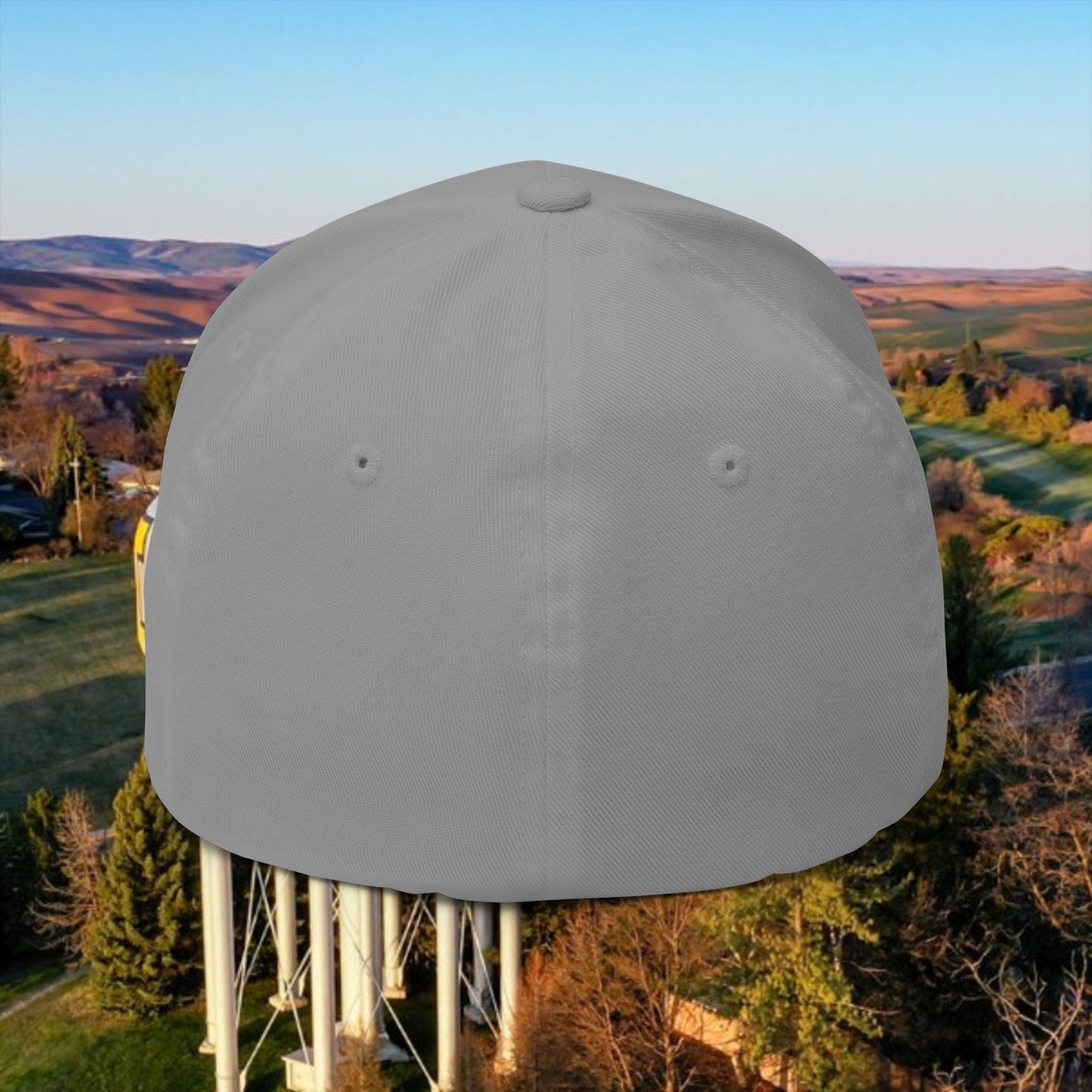 Idaho 208 Embroidered Cap, Closed-Back Structured Hat, Gift for Idahoans, Casual Wear, Summer Accessory